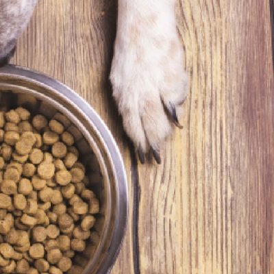 Category image for the resource Pet Supplies