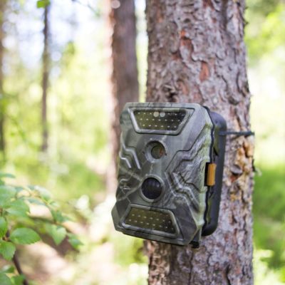 Category image for the resource Trail Cameras