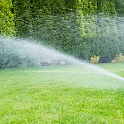 Category image for the resource Automatic Motion-Activated Sprinklers